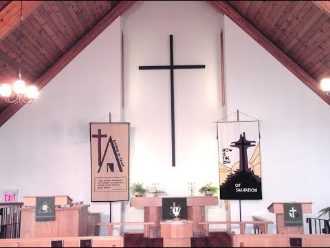 Jesus walks to you. Sunday July 29th the 10th Sunday after Pentecost