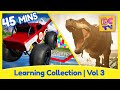 Learning Collection for Kids | Vol 3 | Colors, Math, Dinosaurs and More!