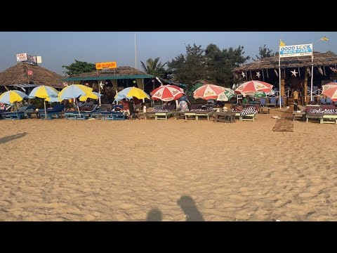 Goa baga beach status