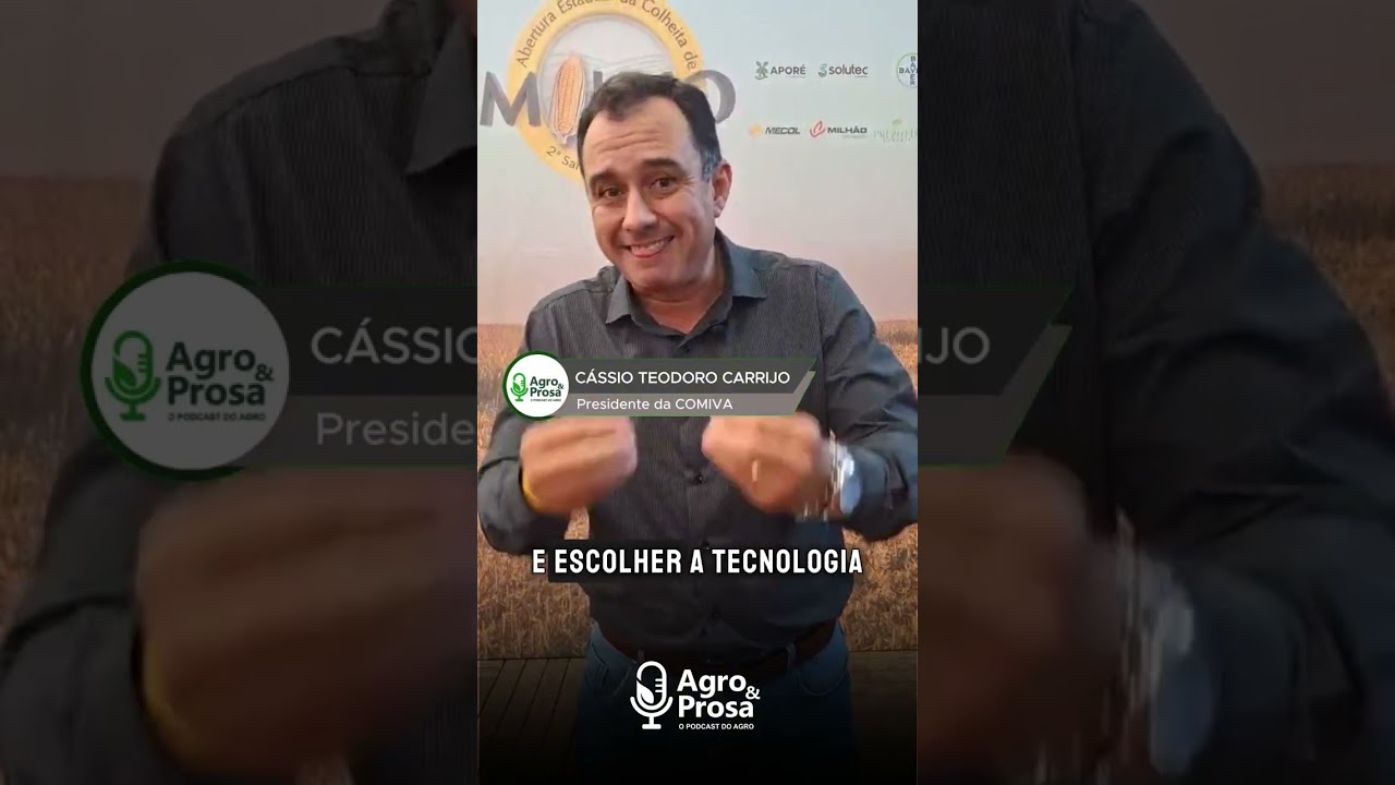 Tudo Sobre a Safra de Milho 2026: Quebra em Goiás, Exportação e o Futuro do Mercado