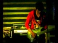Red Spider Anak Liar