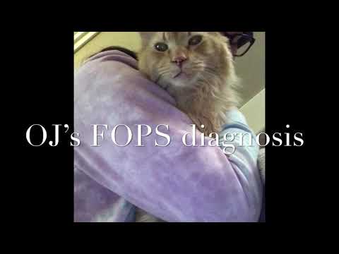 Feline Orofacial Pain Syndrome (FOPS)