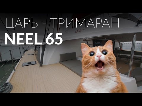 BIGGEST cruise trimaran - Neel 65 Evolution