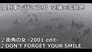 くれれく番外編【A列車で行こう9】空撮×雪景色　～街角の女＆Don't forget your smile～