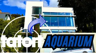 CRIME SCENE STUTTGART AQUARIUM and my new HOUSE?