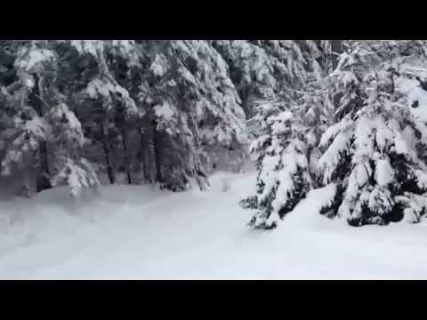 ski partie semenic spre valiug