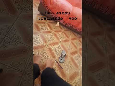 #fadas #fadinhas #aesthetic #rpg #magia