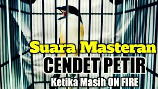 Download lagu SUARA MASTERAN CENDET PETIR 2021 mp3