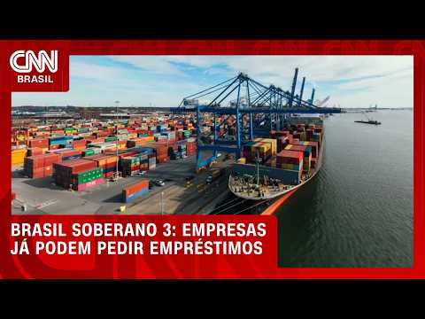 Empresas afetadas pelo tarifaço dos EUA já podem pedir empréstimo; entenda | CNN NOVO DIA