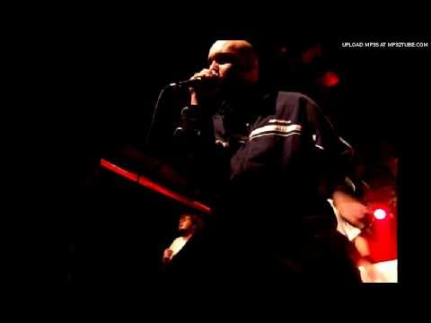 The Ironfist - Born to Stun feat. DJ Stylewarz