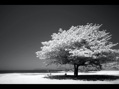 Beautiful instrumental music to relax your mind and body! 24 7! Use it!!!