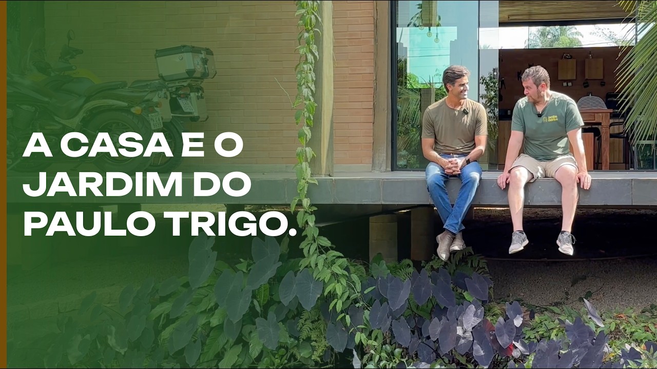 A casa e o jardim espetacular do Paulo Trigo.