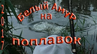 Ссылка