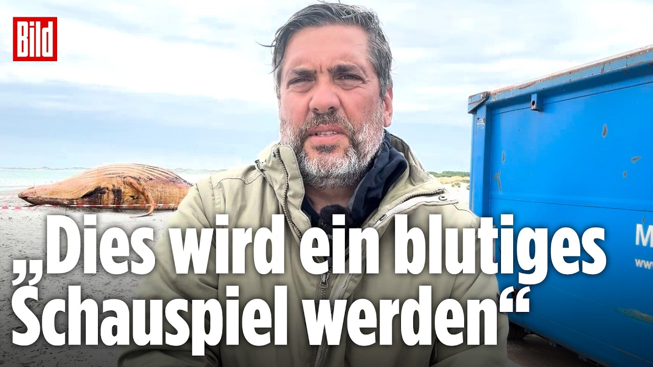 BILD vor Ort bei Timmy-Obduktion: „Dies wird ein blutiges Schauspiel werden“