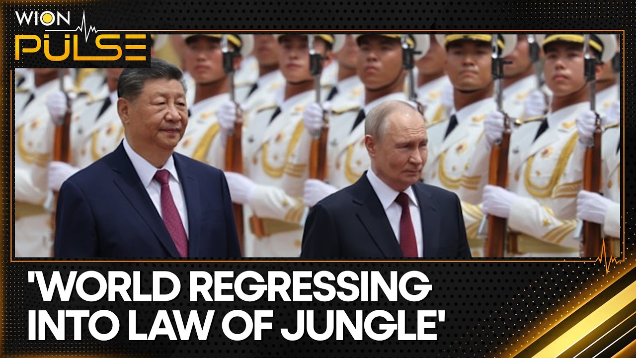 China-Russia Ties: How Did Xi Treat Trump & Putin In A Week? | WION Pulse
