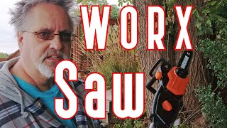 Worx Pole Chain Saw