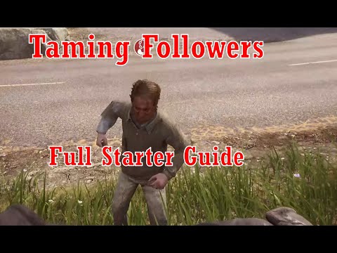 The Front Followers: Taming Followers Full Guide