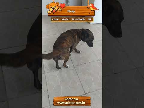 Vídeo de Sleep