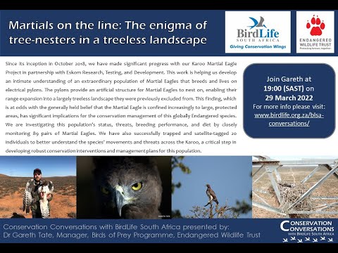 Conservation Conversations: Dr Gareth Tate - Martial Eagles of the Karoo