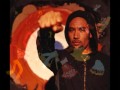 BEN HARPER   In the Colors