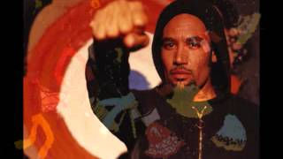 BEN HARPER   In the Colors