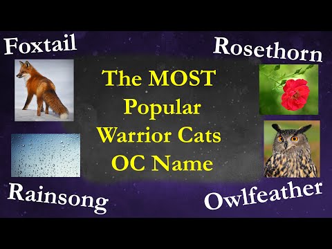 I found the MOST POPULAR Warrior Cats OC Name