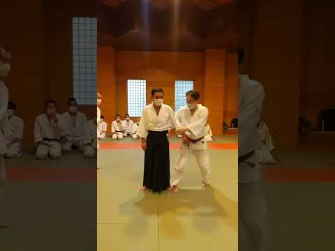 合気下げ横崩し