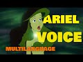 The Little Mermaid Ariel S Voice Multilanguage
