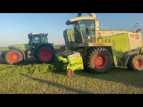 Claas Jaguar 860