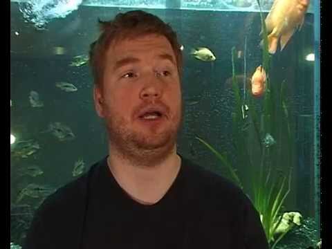 EVE Online Classic - Behind The Scenes - Hilmar Veigar Pétursson, Chief Technology Officer