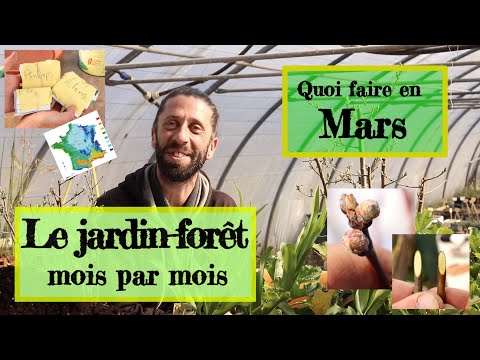 , title : 'Jardin forêt en permaculture. Les activités du mois de Mars !'