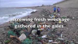 Pity Me Not Because the Light of Day