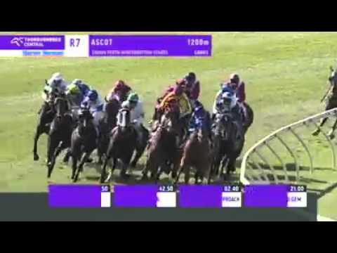 Group 1 Winterbottom Stakes - Buffering