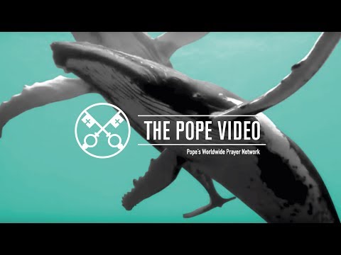 Protecting the Oceans — The Pope Video 9 — September 2019