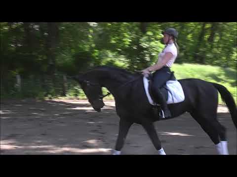 Barklay 5j. Holst. v. Barcley - Amand