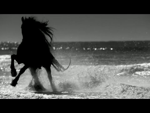 B:Linda Project - Runaway Horses (Matt Pop Album Edit, preview) Belinda Carlisle