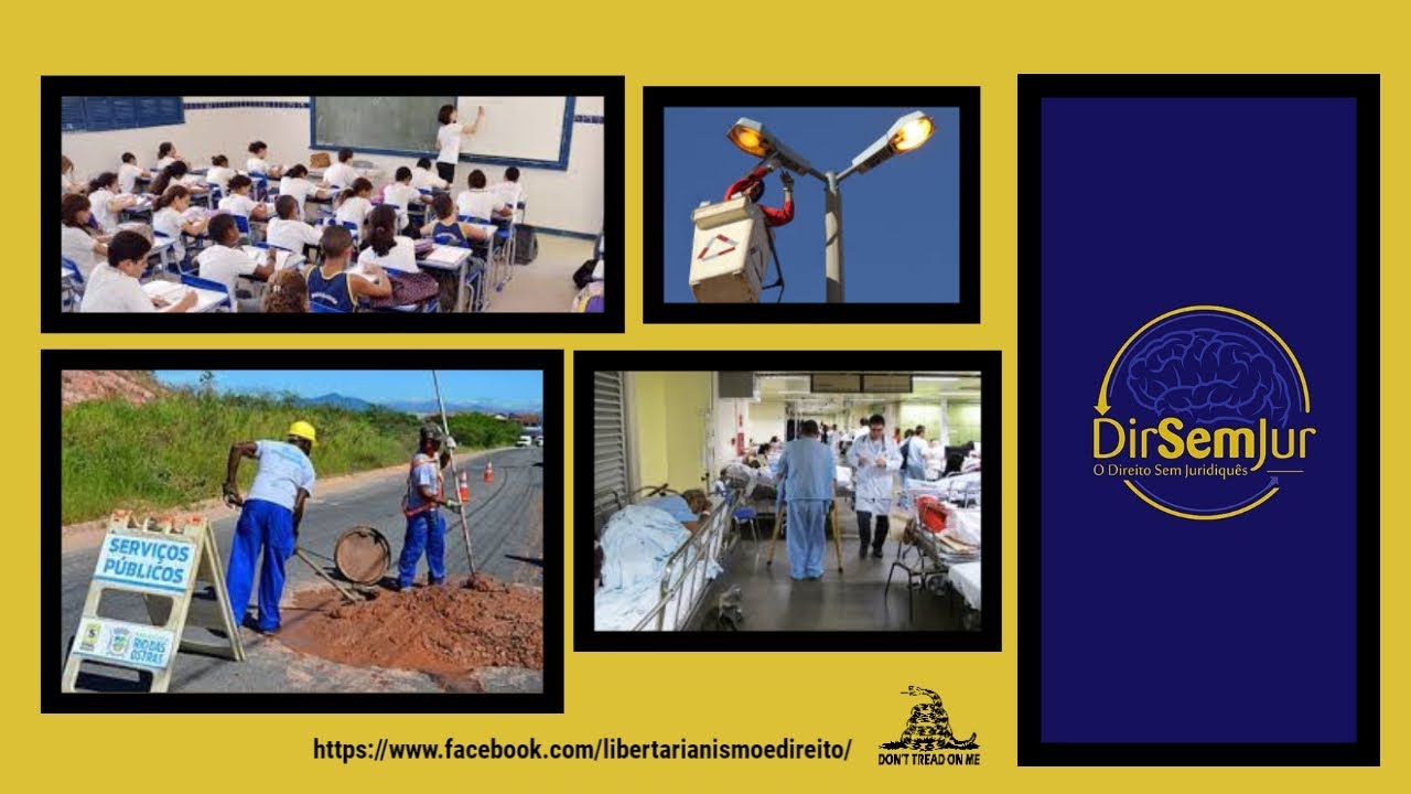 Serviços Públicos (visão panorâmica) + Organizações Sociais e OSCIPs_Alerta: conteúdo libertário!!