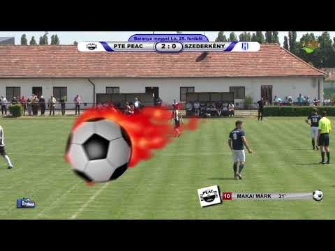 PTE PEAC PANNON ÁSVÁNY - SZEDERKÉNYI SE  3 - 1 (3 - 0)