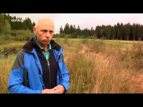 Einblick in eine mystische Welt -- Die seltenen Rusel-Moore!