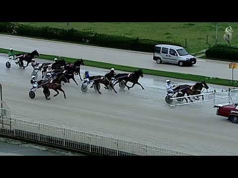 Aversa trotto 13 Febbraio 2021 - 2° Corsa