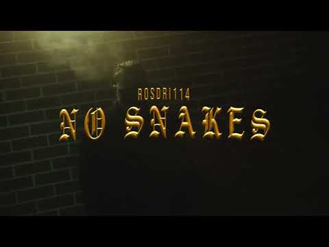 ROSDRI114 - No Snakes (video)