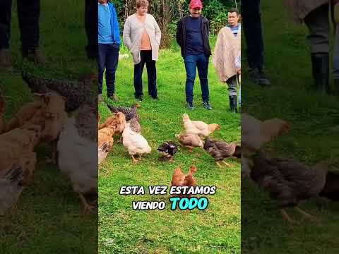 🐔🌾 ¡FORTALECIENDO EL CONOCIMIENTO DEL SECTOR AVÍCOLA! 🌾🐔