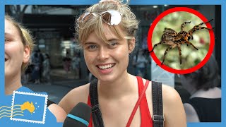 Do Australians Have NO FEAR!?