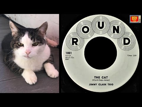 JIMMY CLARK TRIO - The Cat 😺 (1959)