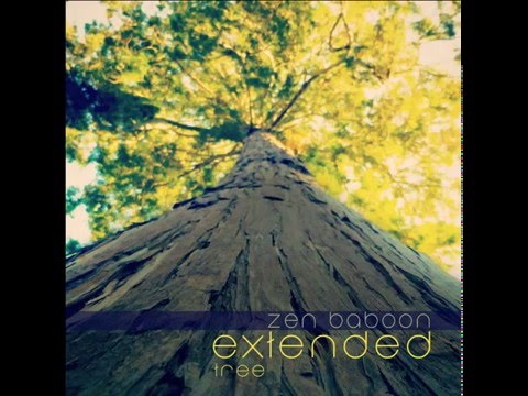 Zen Baboon - Red Frog (Extended)