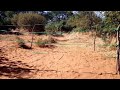 WWE BOTSWANA JOHN CENA VS RANDY ORTON