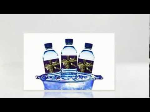 Bottle Labels at Best Price in India