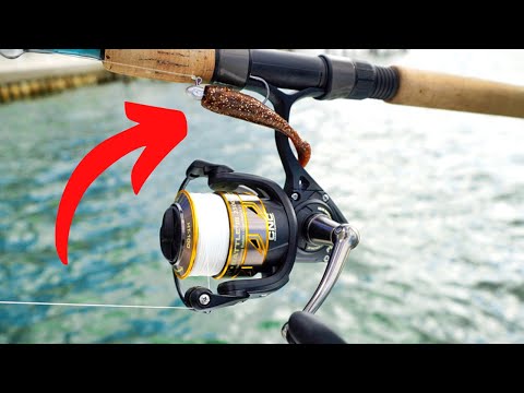 Fishing My Favorite Lure on My NEW Reel (Penn Battle III 2500)