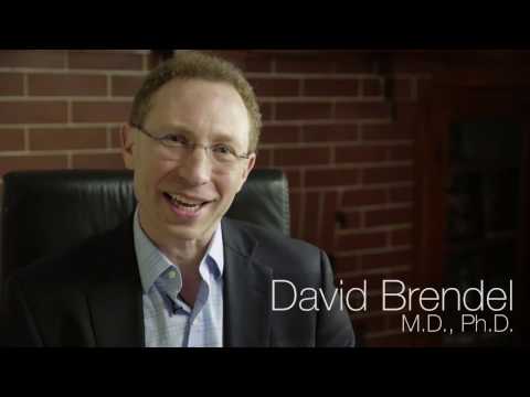 Dr. David Brendel of Leading Minds Executive Coaching in Boston and New York City