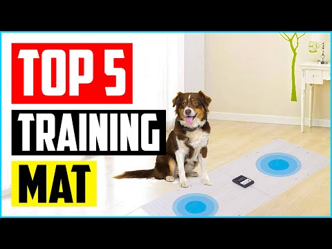 Top 5 Best Indoor Pet Training Mat for Dogs and Cats of 2022 Review